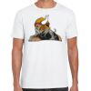 Mens Softstyle Tee Shirt Thumbnail