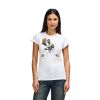 Womens Softstyle Cotton Tee Thumbnail